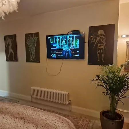 Trinity 2 Bed With Mezzanine * Dublin