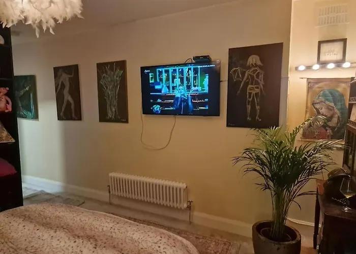 Trinity 2 Bed With Mezzanine * Dublin